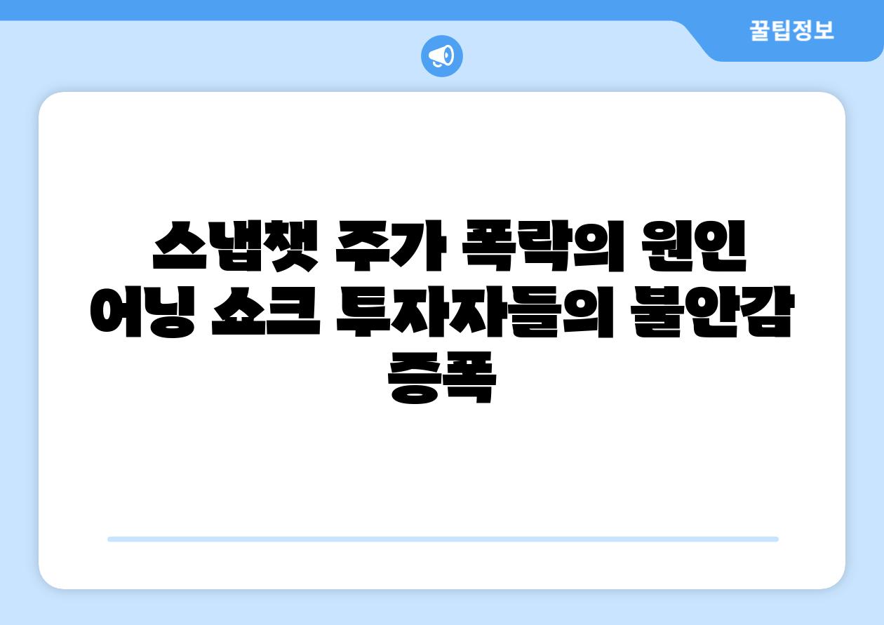  스냅챗 주가 폭락의 원인 어닝 쇼크 투자자들의 불안감 증폭