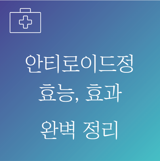 안티로이드정