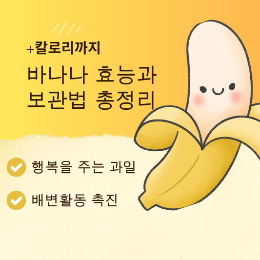 바나나 효능과 보관법 총정리(+칼로리)