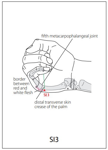 수태양소장경(SI) > SI3 후계 (後谿) 1