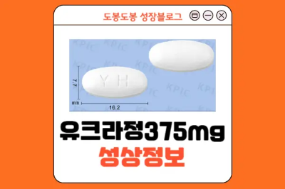 유크라정375mg 성상 정보 이미지