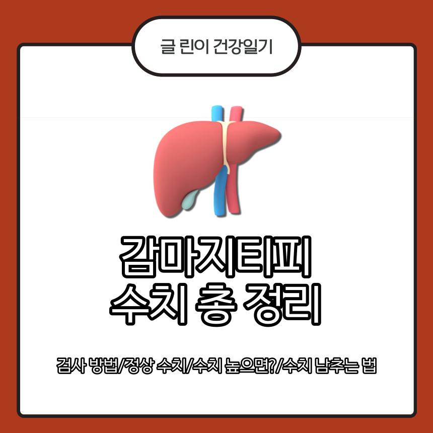  감마지티피 수치 총 정리
