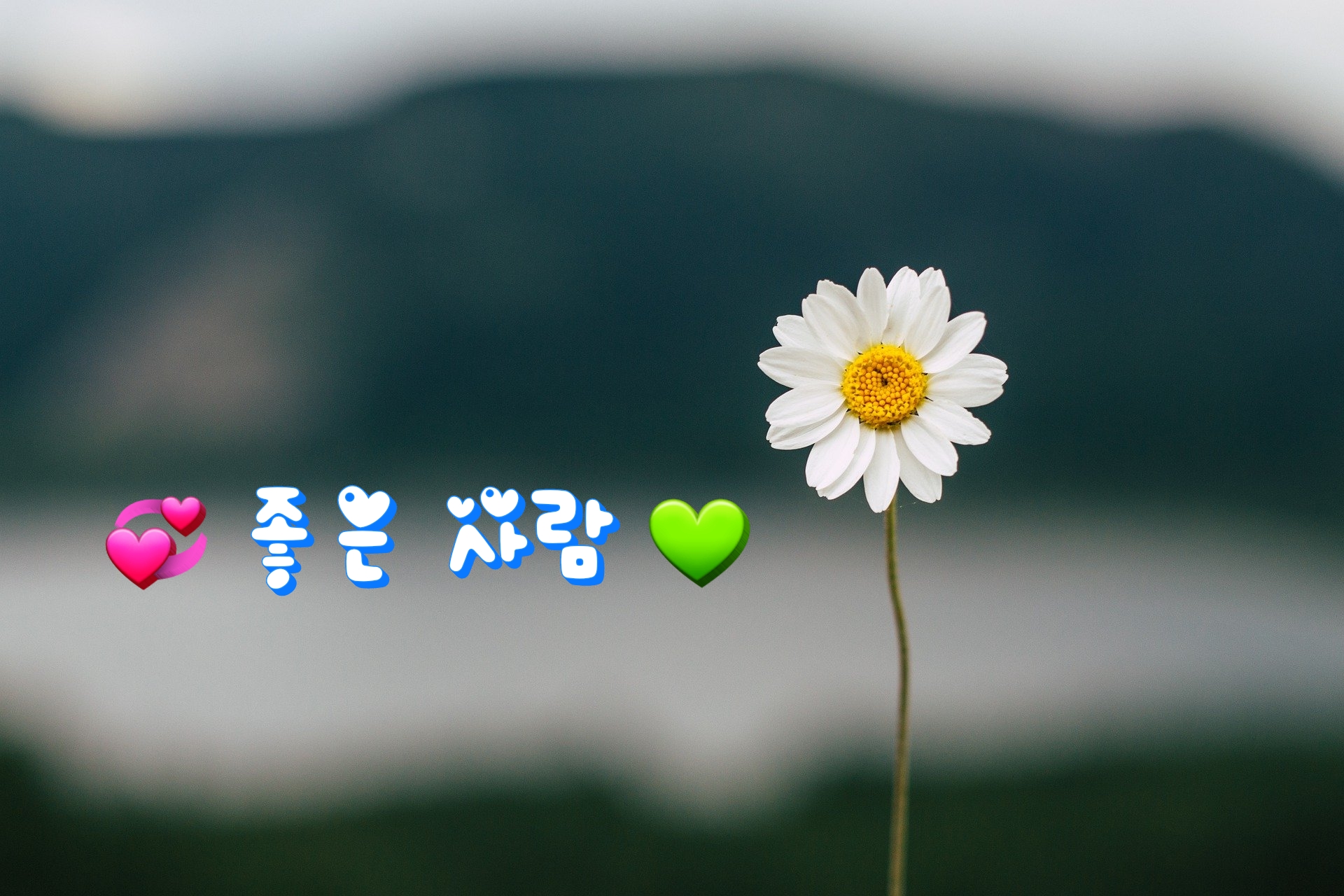  좋은 사람 
