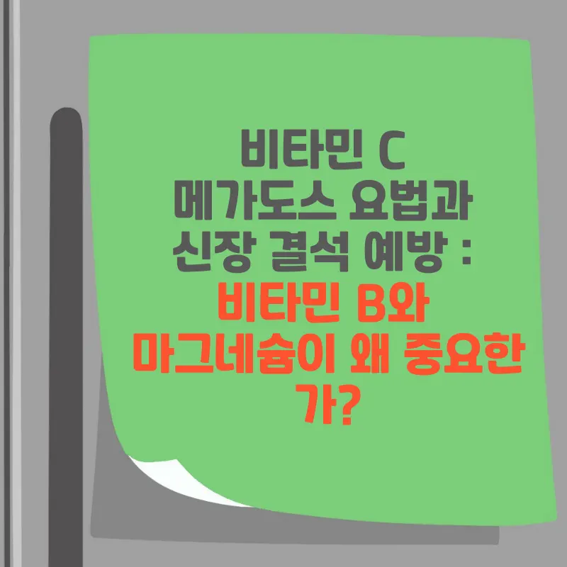 썸네일 비타민 C 메가도스 요법과 신장 결석 예방 : 비타민 B와 마그네슘이 왜 중요한가?