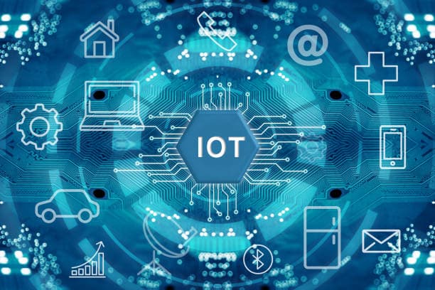 IoT와 스마트 센서의 융합으로 탄생한 미래형 도시 농업