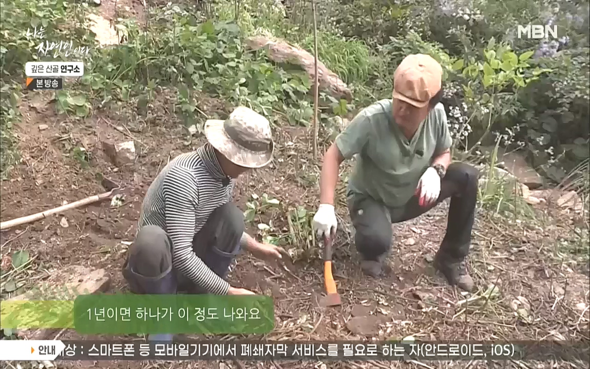 나는 자연인이다.E523.221013p.WANNA.mp4_20221013_201149.865.jpg