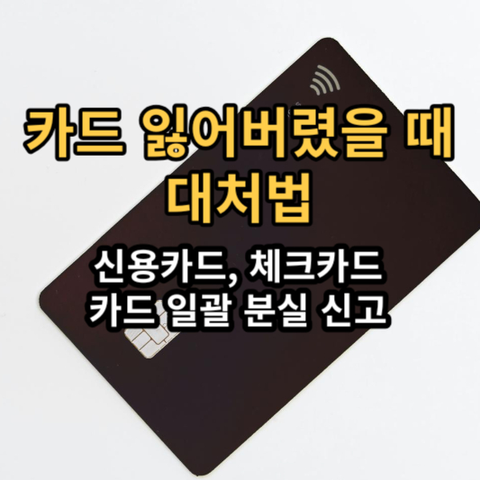 카드 잃어버렸을 때 대처법 1분컷 (카드 일괄 분실 신고&#44; 신용&#44; 체크&#44; 도난)