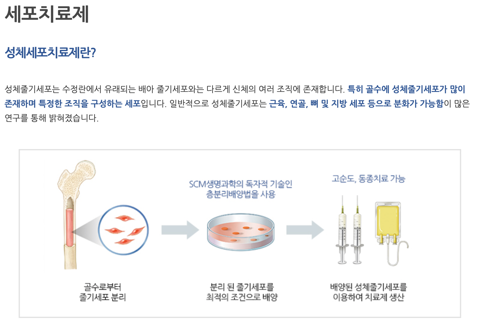 에스씨엠생명과학 사업모델