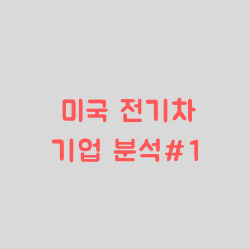  미국 전기차 관련주 분석 1편