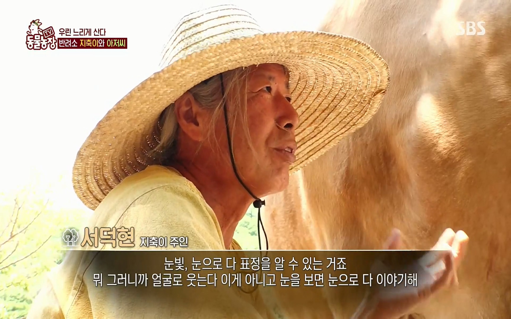 TV 동물농장.E1074.220619p.H264-F1RST.mp4_20220619_181243.822.jpg