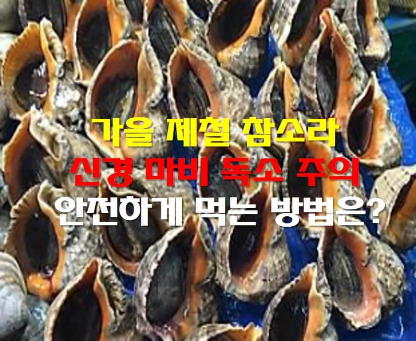 가을 참소라 사진