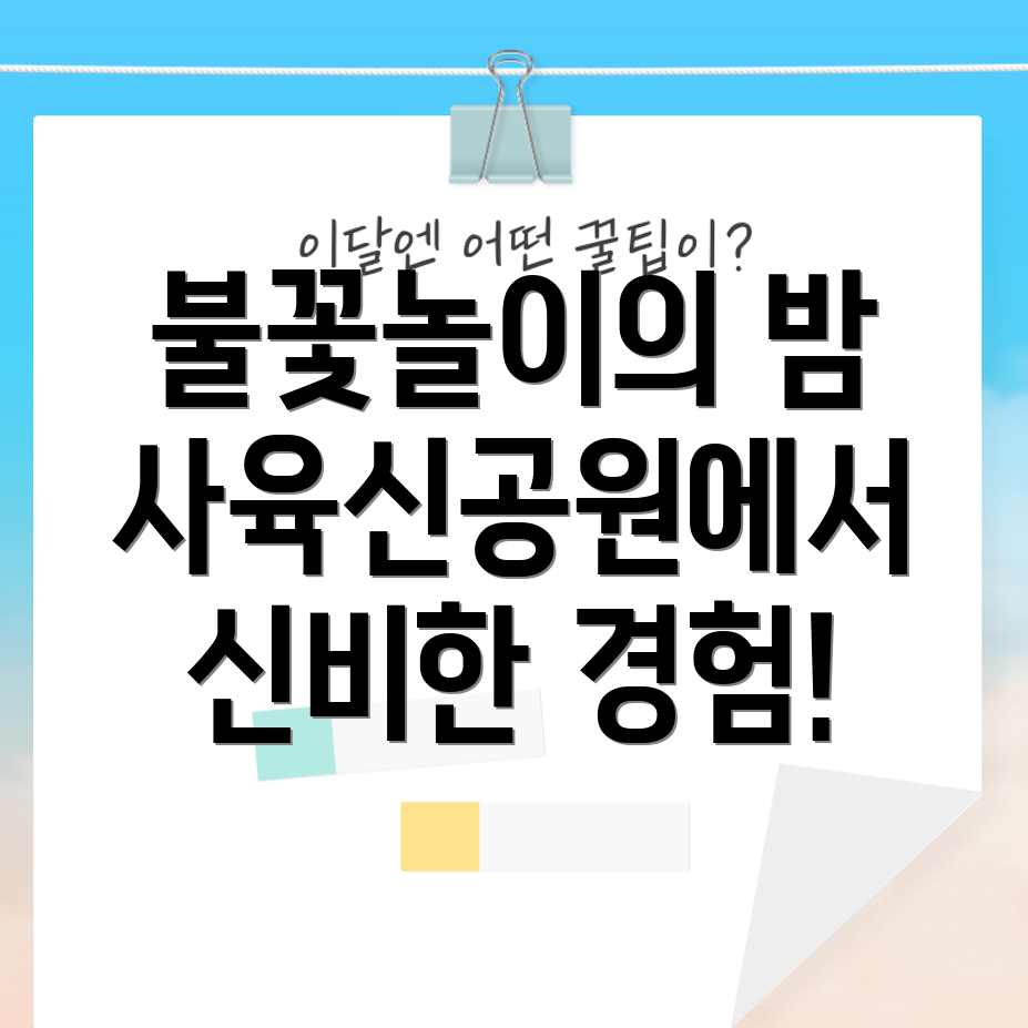 사육신공원 불꽃놀이