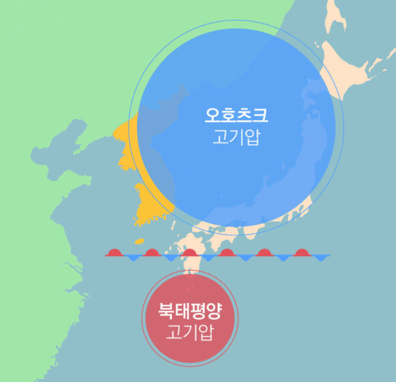  장마기간과 피해 방지 팁