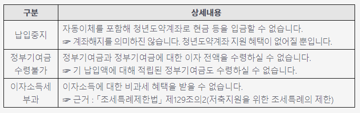 청년도약계좌 금융소득종합과세자