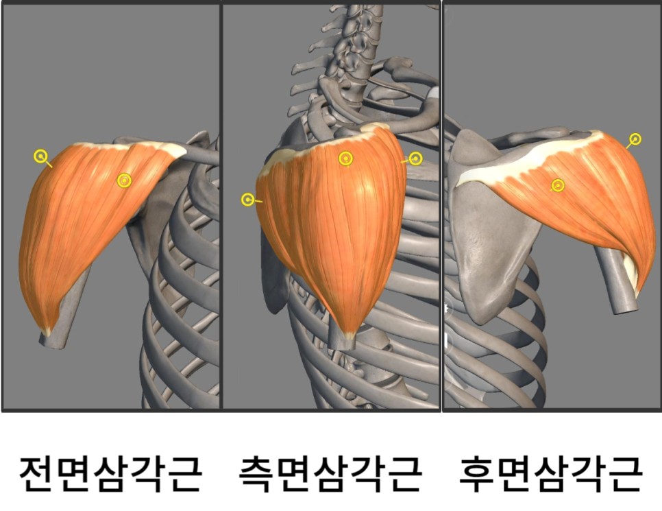 바디에이프PT 이미지