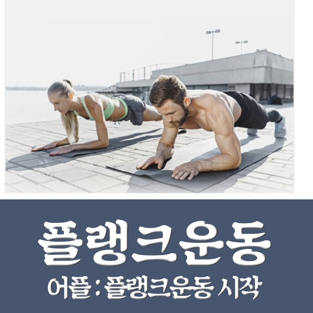  플랭크운동 어플 추천, 플랭크운동방법 다 나와있어요!!