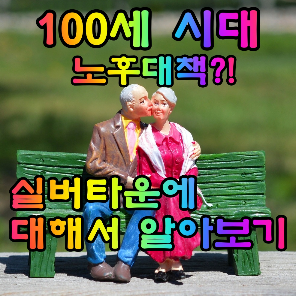  실버타운 가격, 조건, 입주자격, 보증금, 생활비, 도심형 근교형 전원형 노후대책