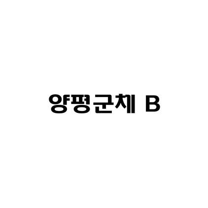  [고딕체]양평군체 B 폰트 무료 다운로드(제작 : 양평군)