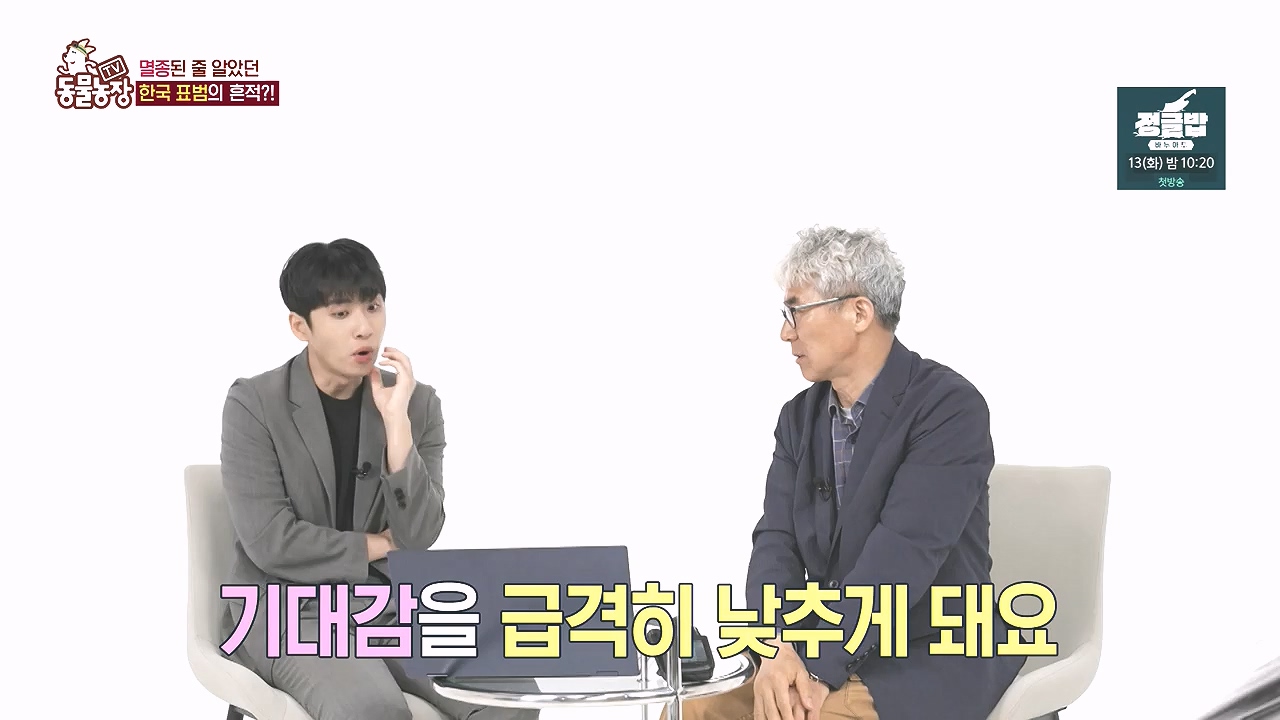 TV 동물농장.E1184.240812p-NEXT.mp4_20240811_172511.641.jpg