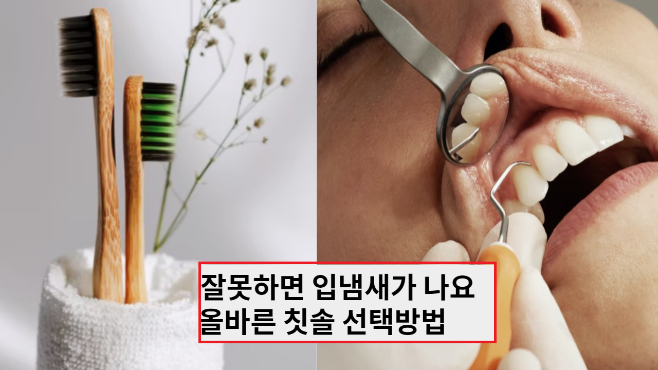  잘못하면 입냄새, 잇몸이 붓고 찌거기가 낄수 있어요. 올바른 칫솔 선택방법