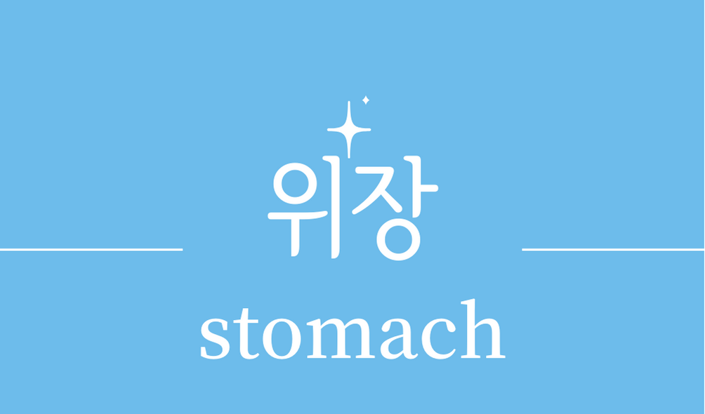 &#39;위장(stomach)&#39;