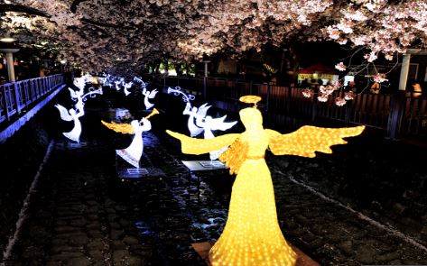 진해군항제 벚꽃축제 벚꽃명소 축제정보