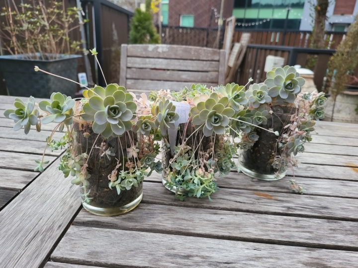 테이블 온 소프트 록 브러시