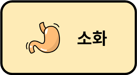 소화