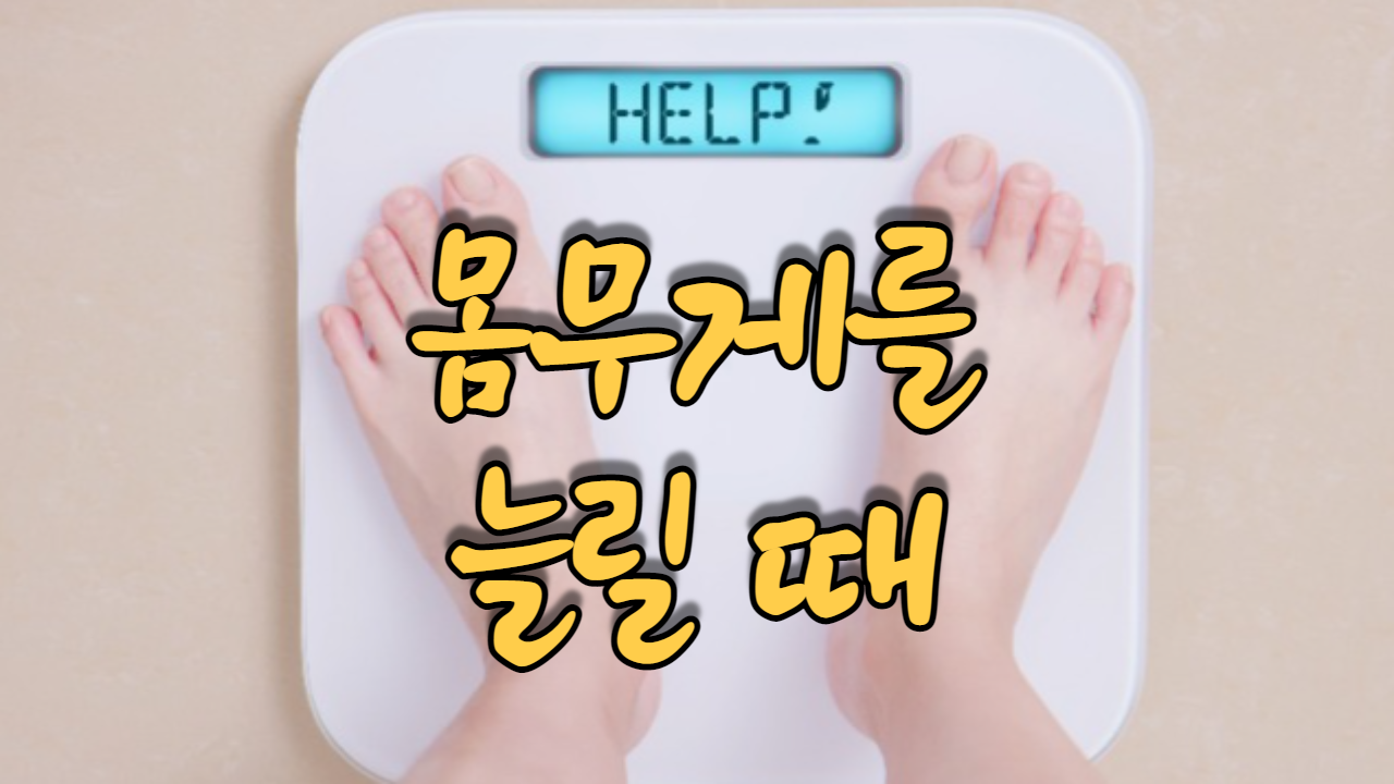  몸무게를 늘릴 때