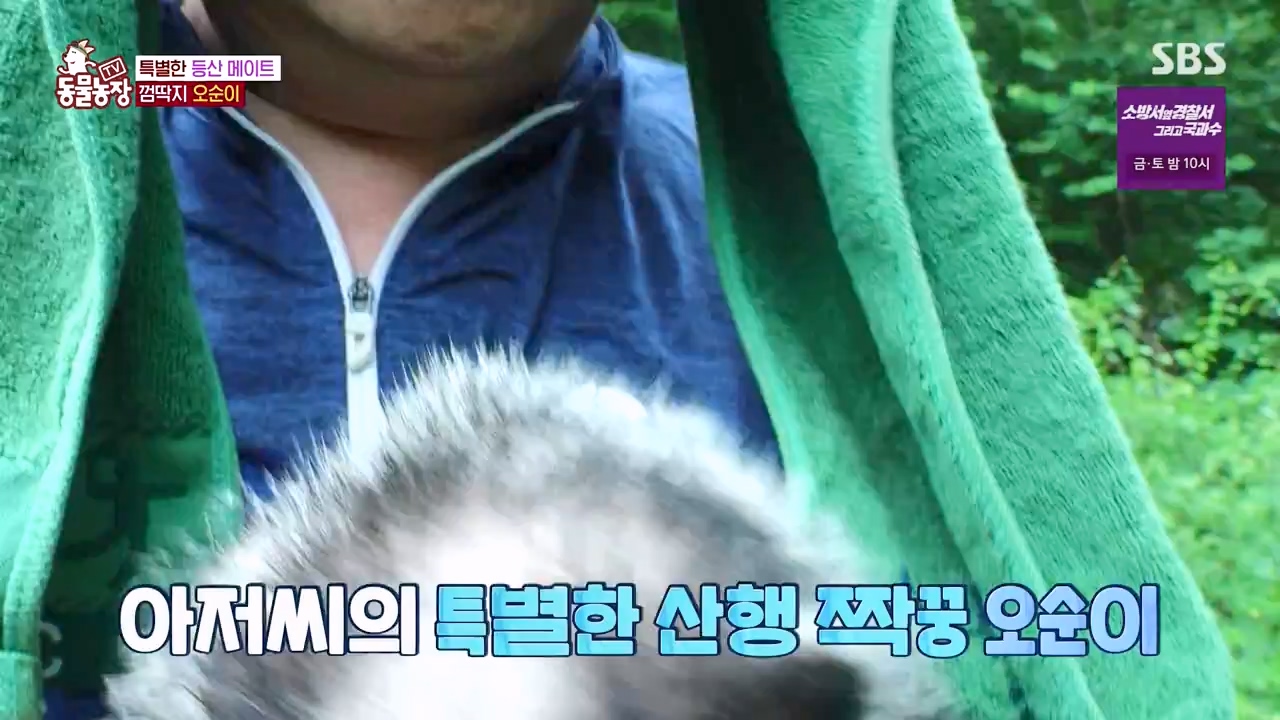 TV 동물농장.E1132.230807p-NEXT.mp4_20230806_164226.649.jpg