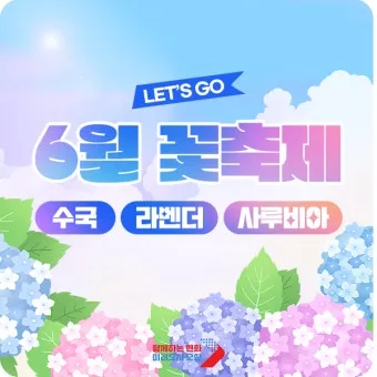 6월 축제 가볼만한 곳 완벽 가이드 2025년 최신_4