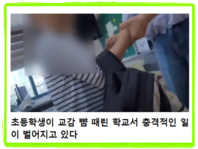 초등학생 교감폭행 사건