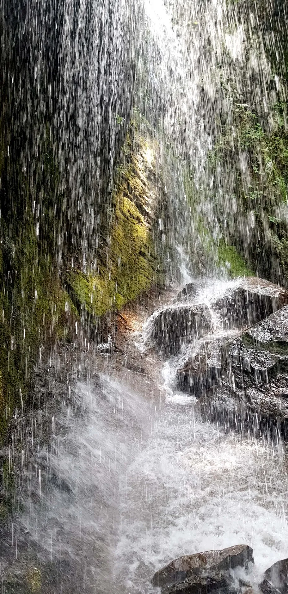 포항 동대산