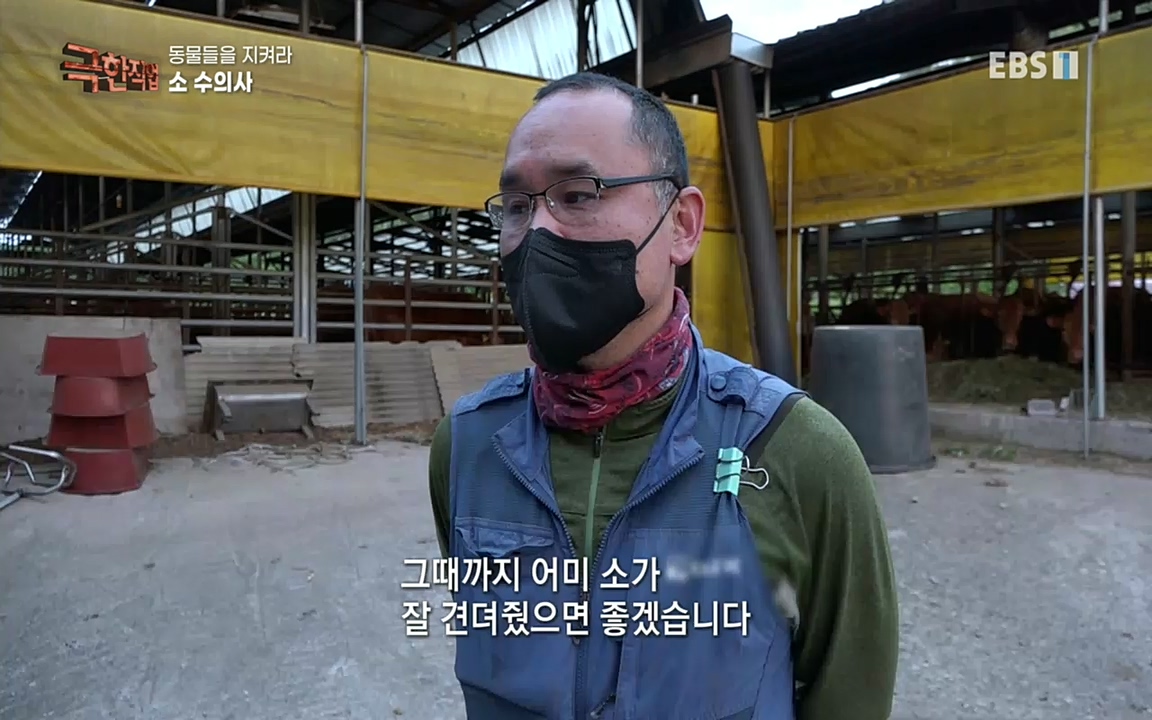 TV - 교육의 중심 EBS동물들을 지켜라, 수의사와 유기 동물 구조팀.mp4_20220913_200152.669.jpg