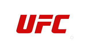 UFC 로고 2