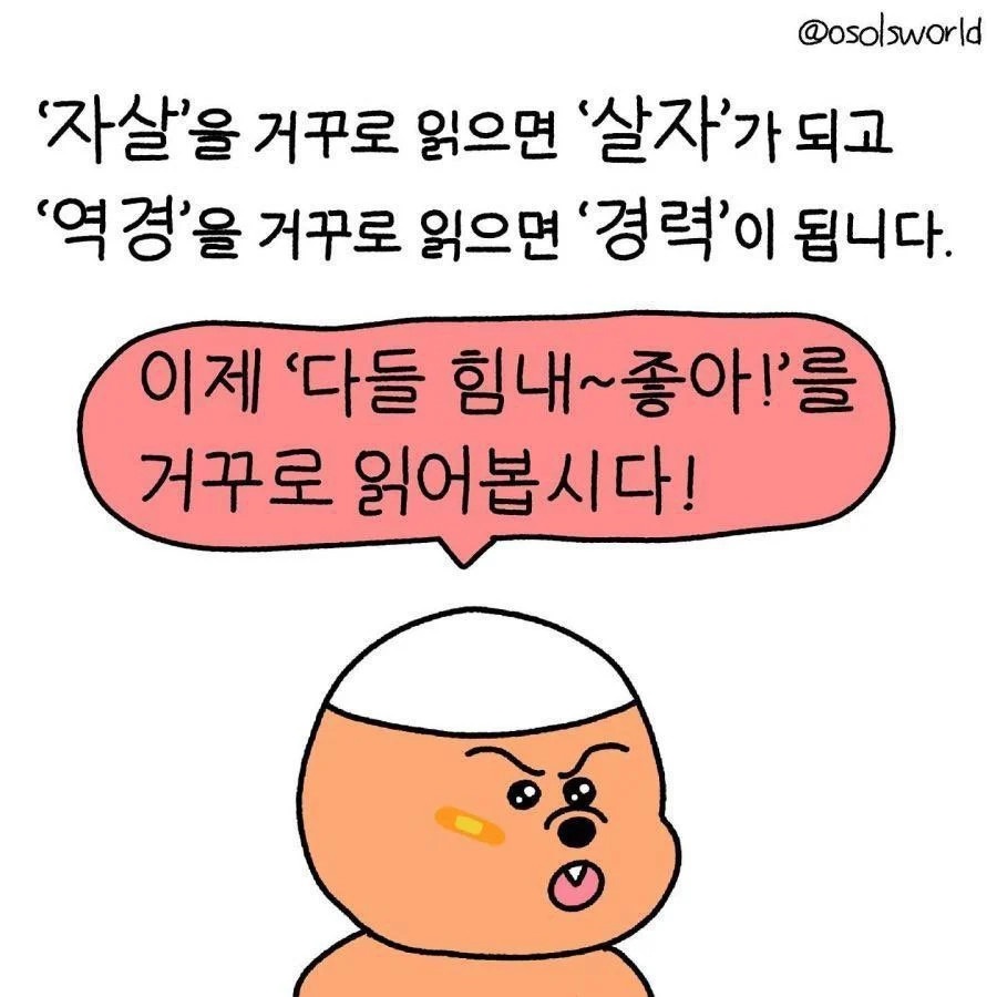 비트코인 알트코인 유머 짤 모음 3