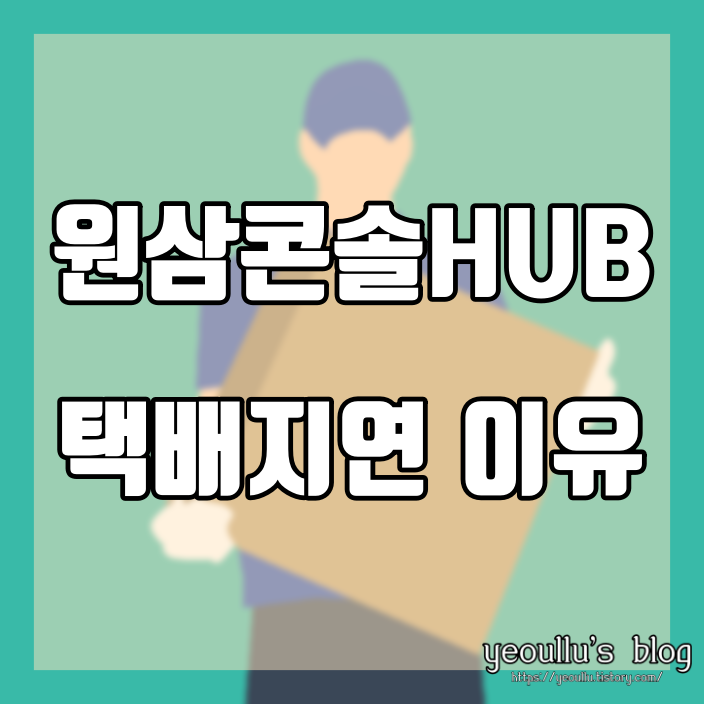  원삼콘솔HUB 내 택배는 언제 오는가