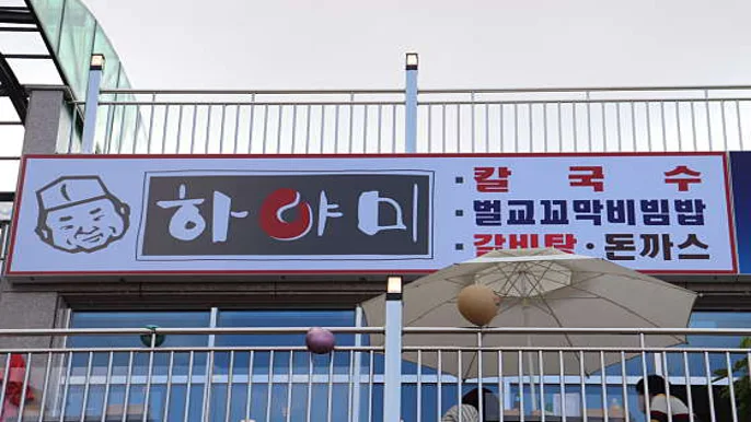 하야미