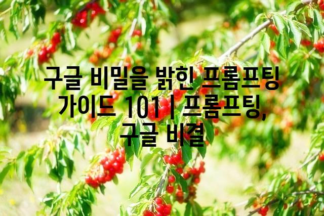 랜덤053