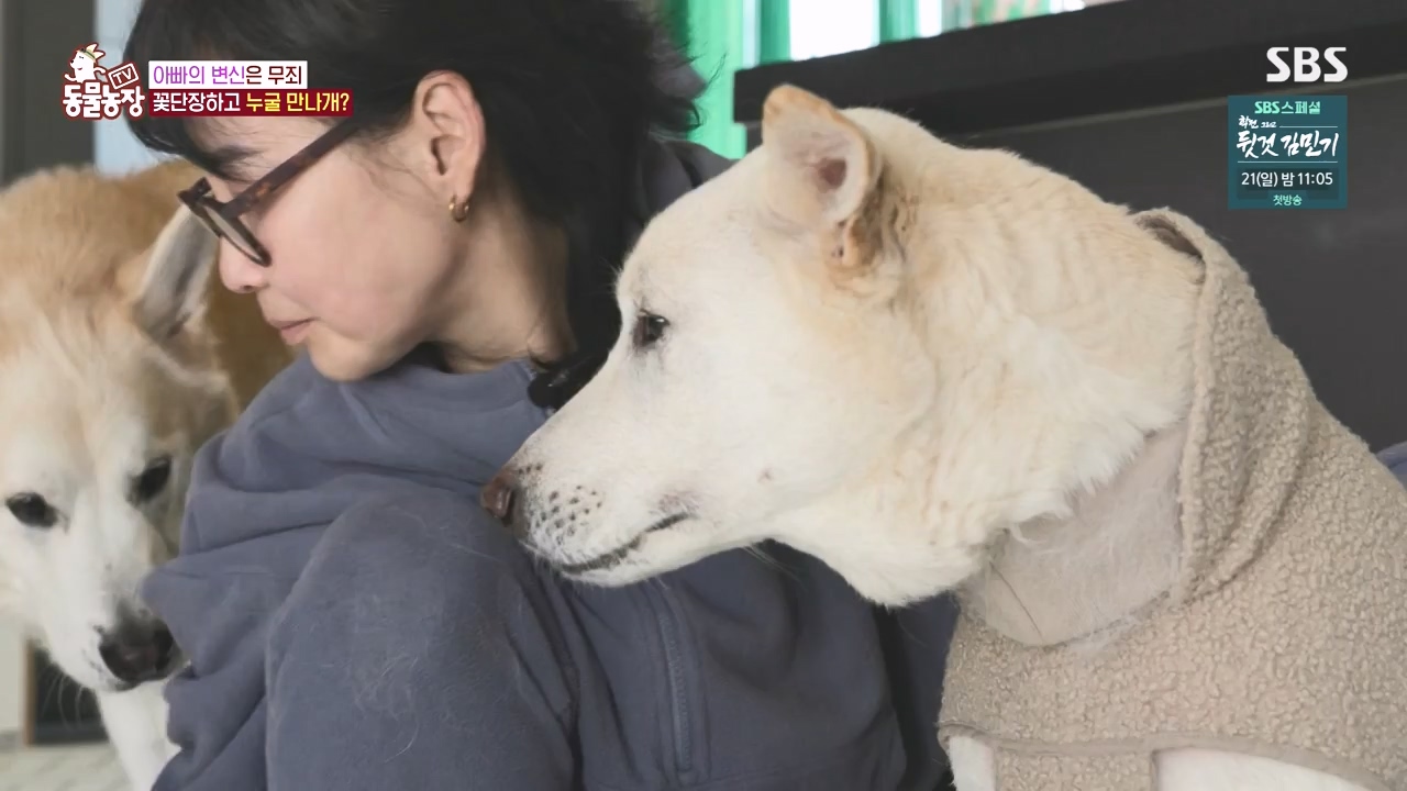 TV 동물농장.E1167.240415p-NEXT.mp4_20240414_160913.931.jpg