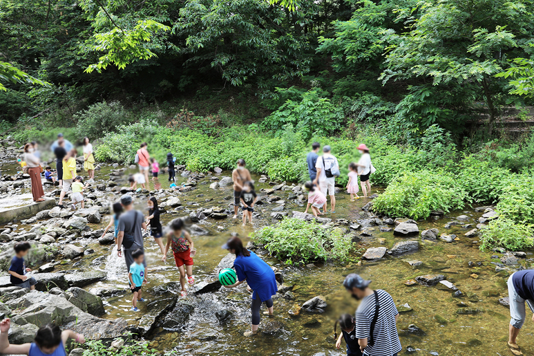 478 용인 고기리 계곡 카페 30