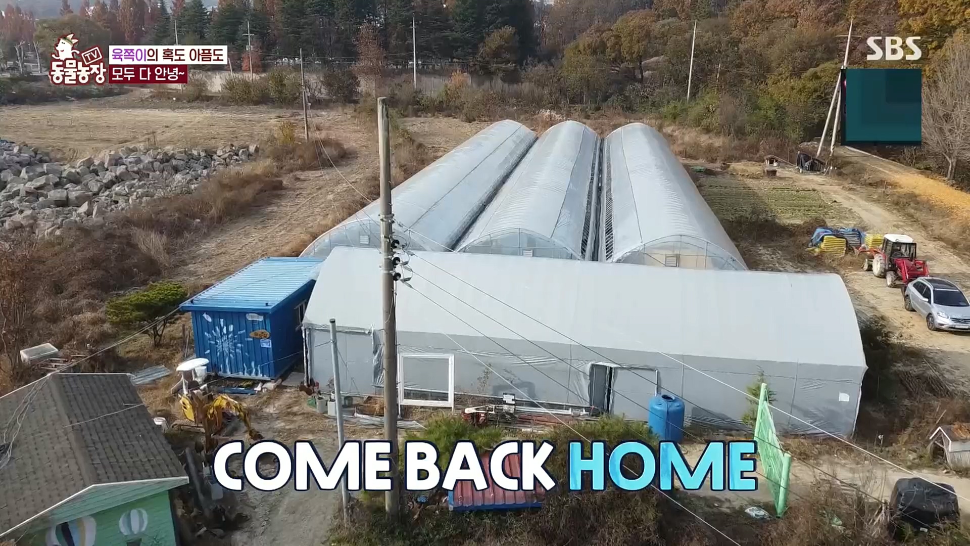 TV 동물농장.E1100.221218p.H264-F1RST.mp4_20221218_183456.752.jpg