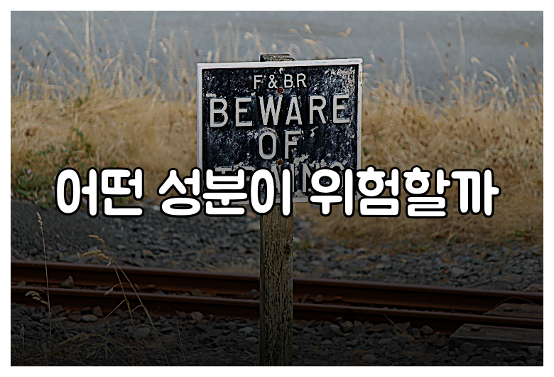 어떤 성분이 위험할까