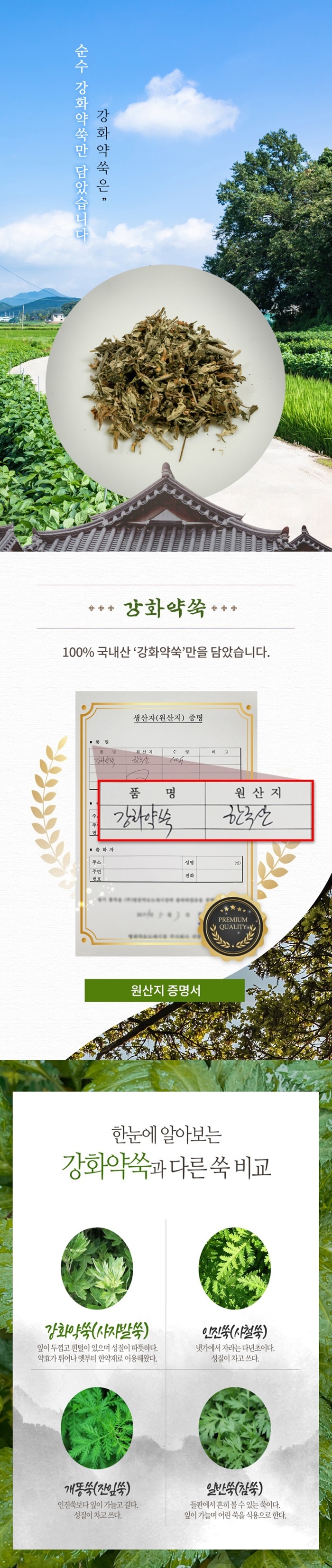 강화약쑥 효능과 말린 14