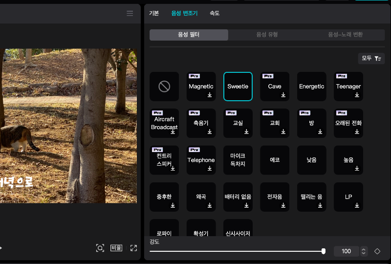 파일형식변환