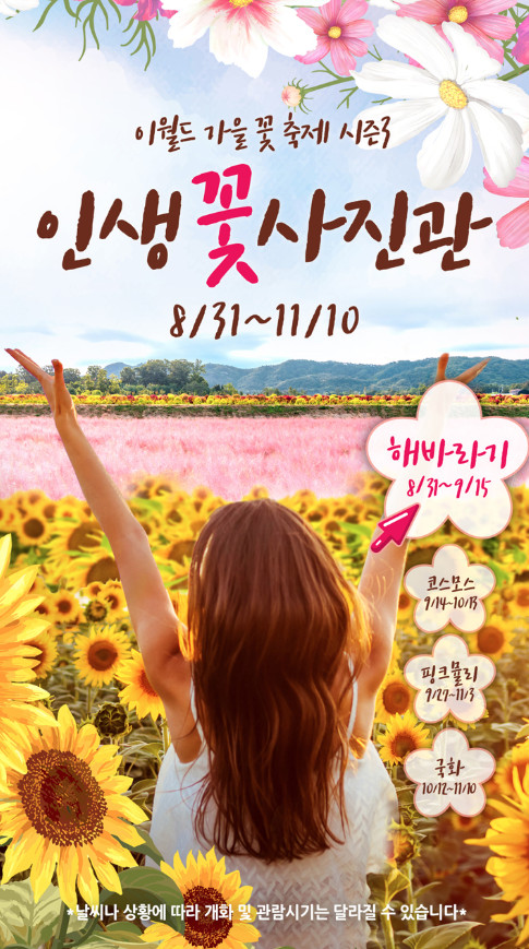  대구 가볼만한곳: 대구 이월드 가을꽃축제 “인생꽃사진관”