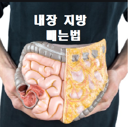  내장지방 빼는법 누워서 할 수 있는 간단한 자세들