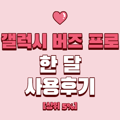  갤럭시 버즈 프로 한 달 사용후기