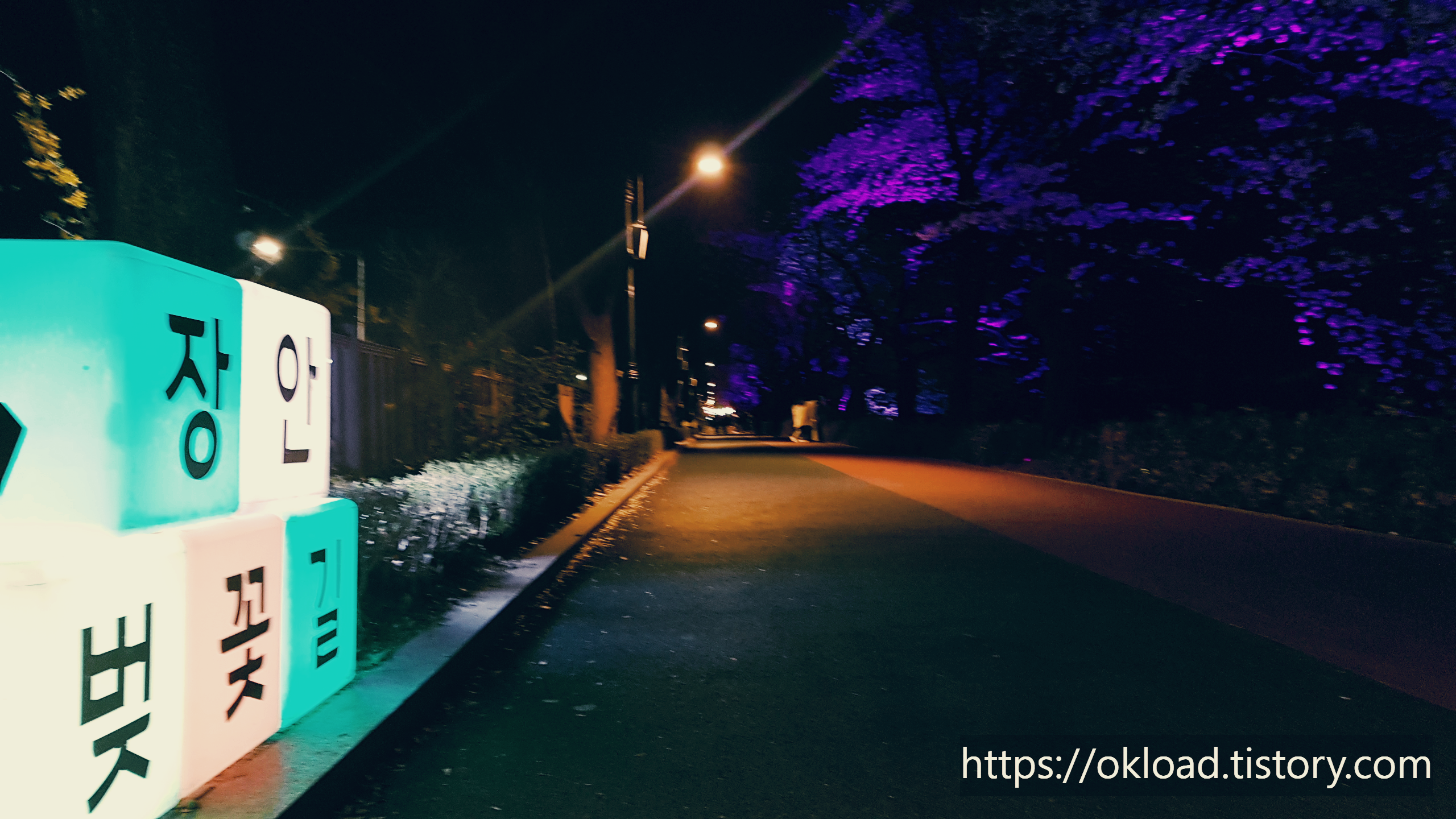 장안동 벚꽃길 ~ 중랑천 벚꽃길 산책 (서울 벚꽃 명소 봄나들이) 6