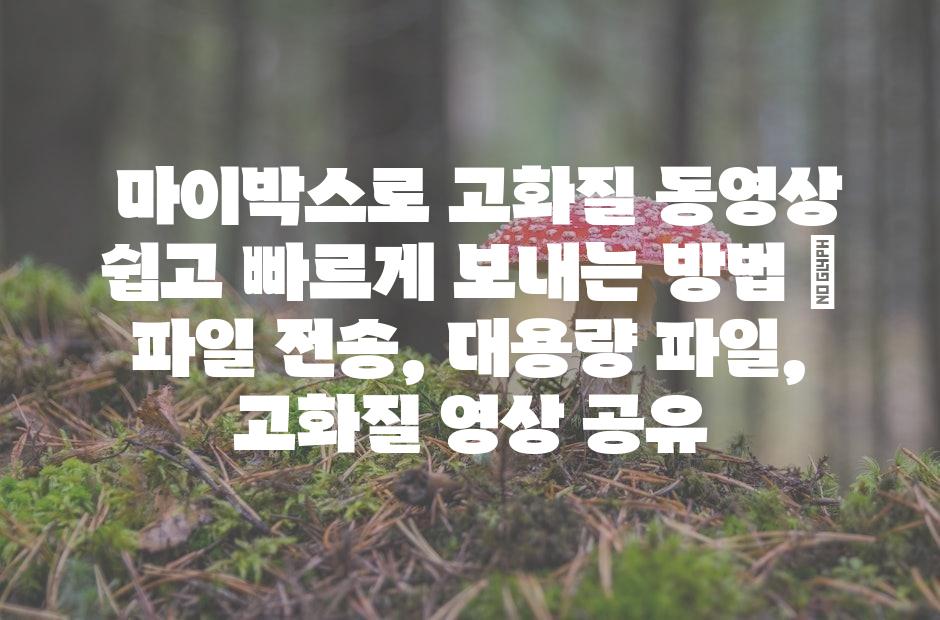 샘플 (42)